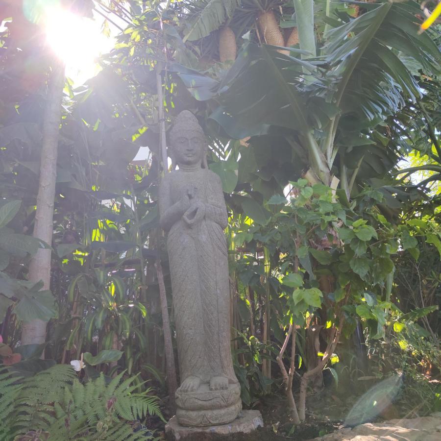 Elescondite El El Sauzal Buitenkant foto