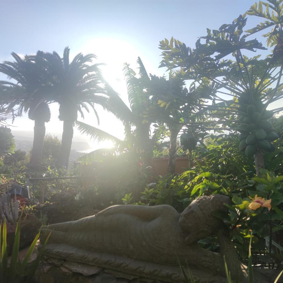 Elescondite El El Sauzal Buitenkant foto